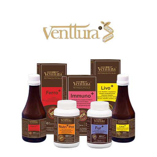 venttura