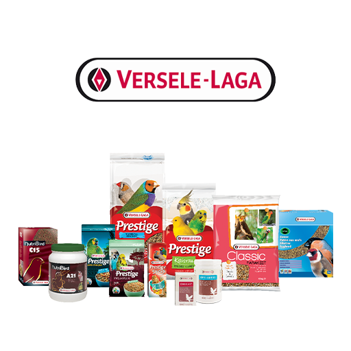 versele-laga