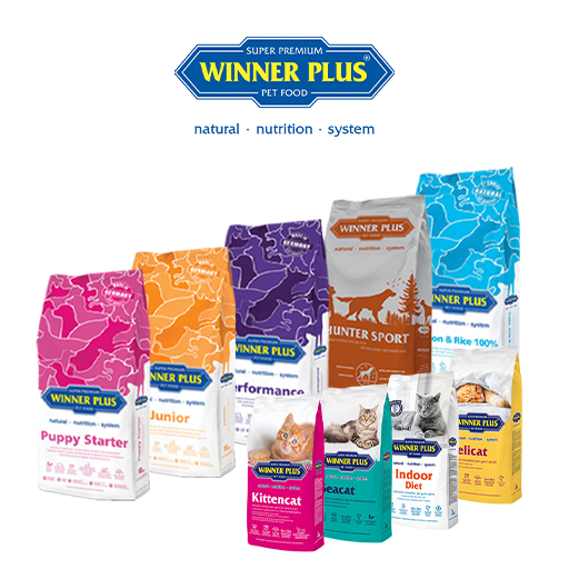 winner plus